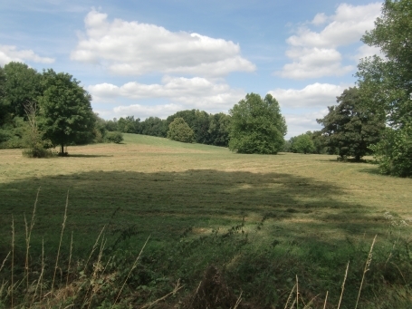 Rees : Bergswick, Landschaft am Reeser Meer